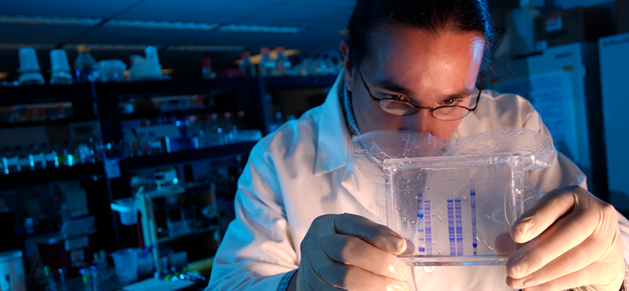 Person in lab coat looking at test findings