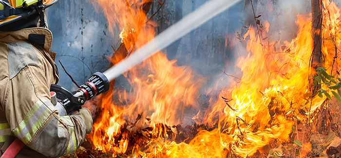Firefighter holding hose spraying water on wildfire